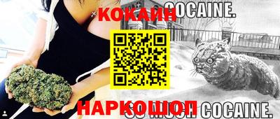 PSILOCYBIN Новокубанск