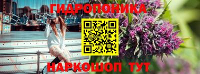 ГАЛЛЮЦИНОГЕННЫЕ ГРИБЫ Новозыбков
