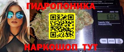 PSILOCYBIN Новокубанск