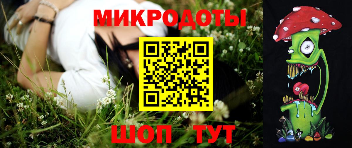 Псилоцибиновые грибы Psilocybine cubensis Улан-Удэ